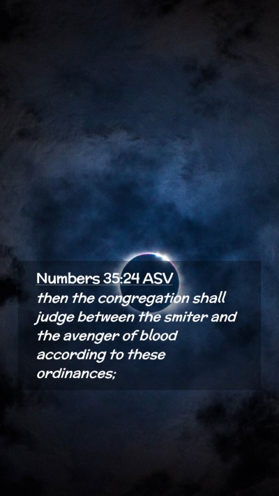 Picture 02 - Numbers 35:24 ASV Mobile Phone Wallpaper - then the congregation shall judge between the - Mobile Bible Verse Wallpaper