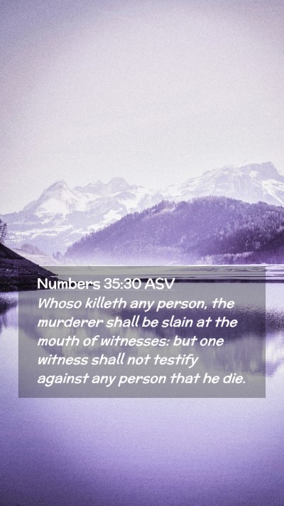Picture 02 - Numbers 35:30 ASV Mobile Phone Wallpaper - Whoso killeth any person, the murderer shall be - Mobile Bible Verse Wallpaper