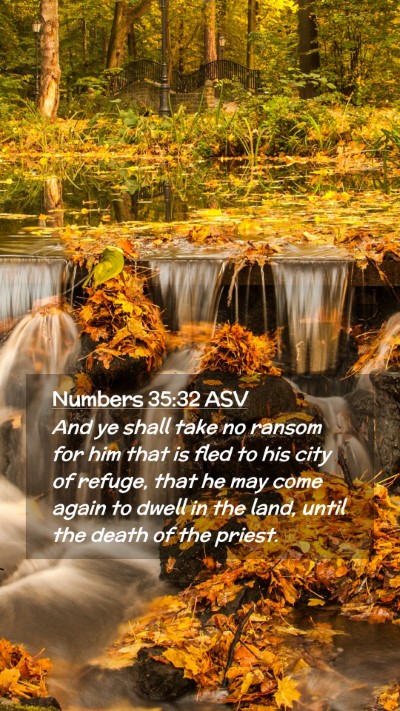 Picture 02 - Numbers 35:32 ASV Mobile Phone Wallpaper - And ye shall take no ransom for him that is fled - Mobile Bible Verse Wallpaper
