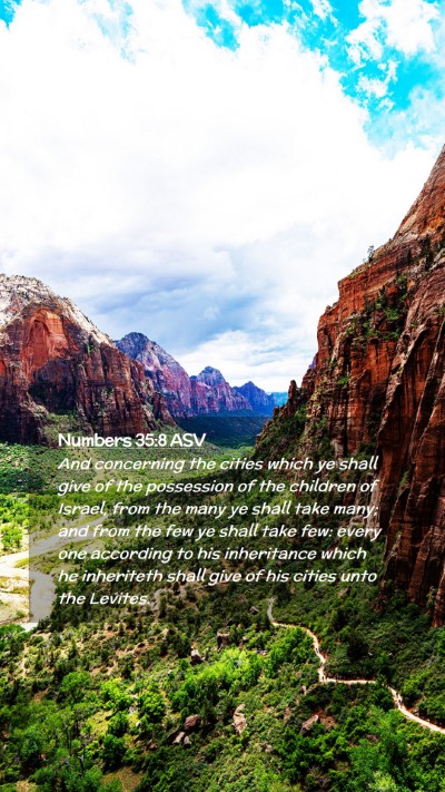 Picture 02 - Numbers 35:8 ASV Mobile Phone Wallpaper - And concerning the cities which ye shall give of - Mobile Bible Verse Wallpaper