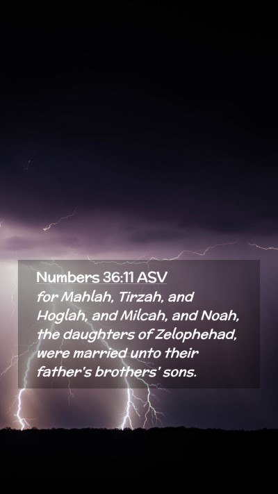 Picture 02 - Numbers 36:11 ASV Mobile Phone Wallpaper - for Mahlah, Tirzah, and Hoglah, and Milcah, and - Mobile Bible Verse Wallpaper