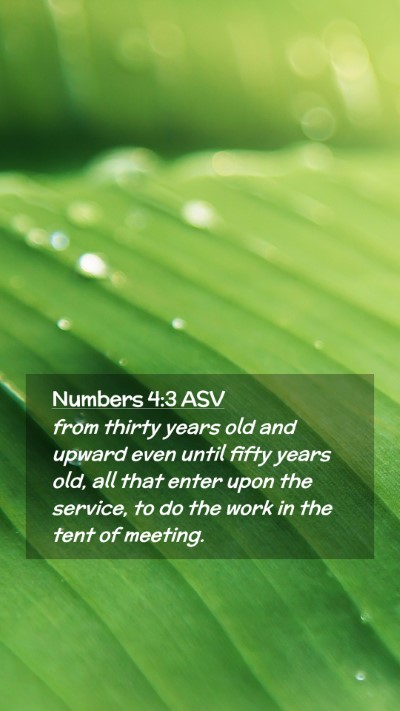 Picture 02 - Numbers 4:3 ASV Mobile Phone Wallpaper - from thirty years old and upward even until fifty - Mobile Bible Verse Wallpaper