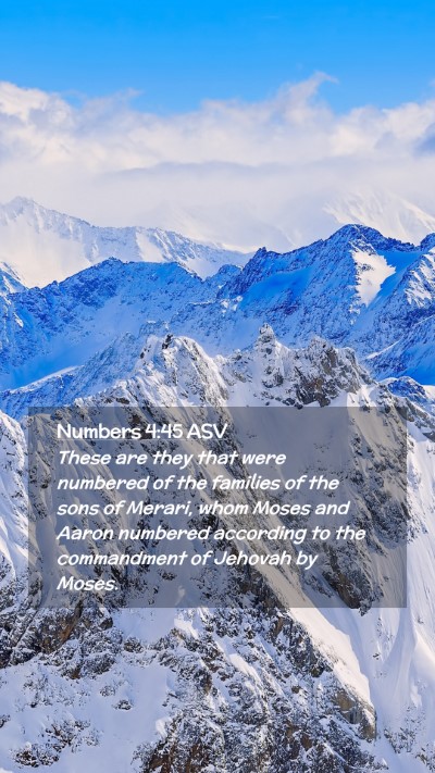 Picture 02 - Numbers 4:45 ASV Mobile Phone Wallpaper - These are they that were numbered of the families - Mobile Bible Verse Wallpaper
