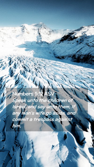 Picture 02 - Numbers 5:12 ASV Mobile Phone Wallpaper - Speak unto the children of Israel, and say unto - Mobile Bible Verse Wallpaper
