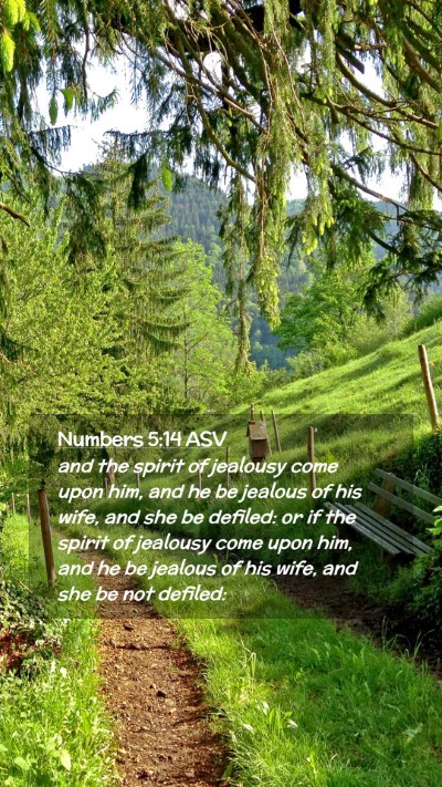 Picture 02 - Numbers 5:14 ASV Mobile Phone Wallpaper - and the spirit of jealousy come upon him, and he - Mobile Bible Verse Wallpaper