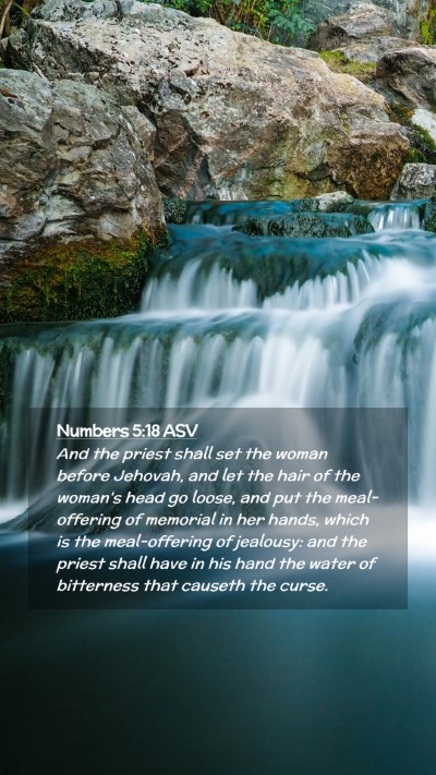 Picture 02 - Numbers 5:18 ASV Mobile Phone Wallpaper - And the priest shall set the woman before - Mobile Bible Verse Wallpaper