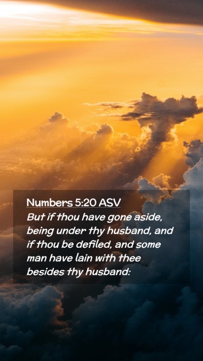Picture 02 - Numbers 5:20 ASV Mobile Phone Wallpaper - But if thou have gone aside, being under thy - Mobile Bible Verse Wallpaper