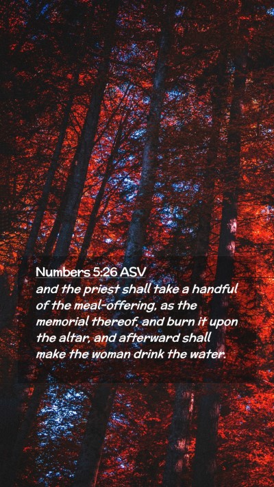 Picture 02 - Numbers 5:26 ASV Mobile Phone Wallpaper - and the priest shall take a handful of the - Mobile Bible Verse Wallpaper