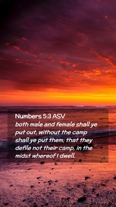 Picture 02 - Numbers 5:3 ASV Mobile Phone Wallpaper - both male and female shall ye put out, without - Mobile Bible Verse Wallpaper