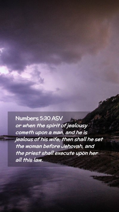 Picture 02 - Numbers 5:30 ASV Mobile Phone Wallpaper - or when the spirit of jealousy cometh upon a man, - Mobile Bible Verse Wallpaper
