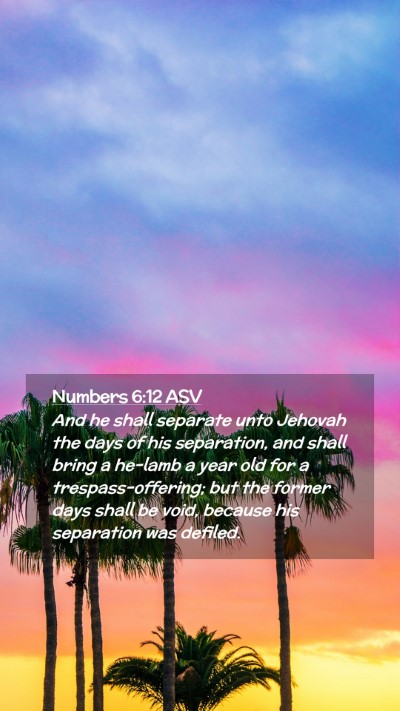 Picture 02 - Numbers 6:12 ASV Mobile Phone Wallpaper - And he shall separate unto Jehovah the days of - Mobile Bible Verse Wallpaper