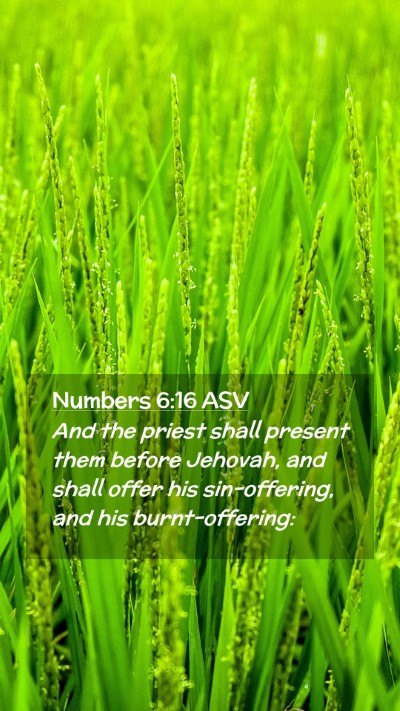 Picture 02 - Numbers 6:16 ASV Mobile Phone Wallpaper - And the priest shall present them before Jehovah, - Mobile Bible Verse Wallpaper