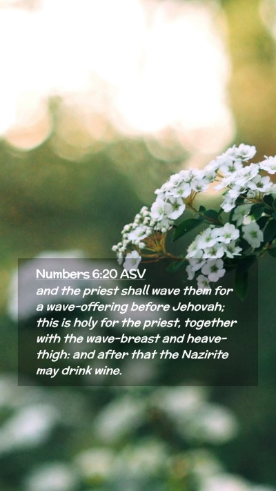 Picture 02 - Numbers 6:20 ASV Mobile Phone Wallpaper - and the priest shall wave them for a - Mobile Bible Verse Wallpaper
