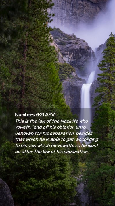 Picture 02 - Numbers 6:21 ASV Mobile Phone Wallpaper - This is the law of the Nazirite who voweth, `and - Mobile Bible Verse Wallpaper