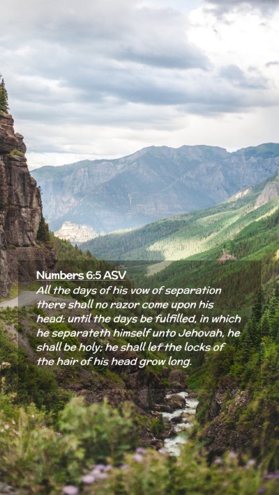 Picture 02 - Numbers 6:5 ASV Mobile Phone Wallpaper - All the days of his vow of separation there shall - Mobile Bible Verse Wallpaper