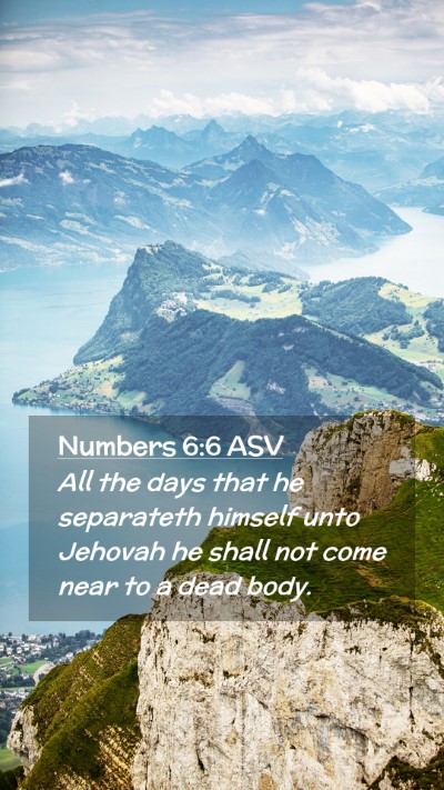 Picture 02 - Numbers 6:6 ASV Mobile Phone Wallpaper - All the days that he separateth himself unto - Mobile Bible Verse Wallpaper
