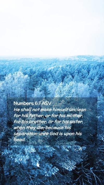 Picture 02 - Numbers 6:7 ASV Mobile Phone Wallpaper - He shall not make himself unclean for his father, - Mobile Bible Verse Wallpaper