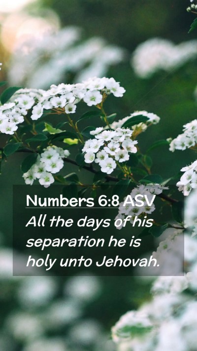 Picture 02 - Numbers 6:8 ASV Mobile Phone Wallpaper - All the days of his separation he is holy unto - Mobile Bible Verse Wallpaper
