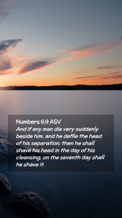 Picture 02 - Numbers 6:9 ASV Mobile Phone Wallpaper - And if any man die very suddenly beside him, and - Mobile Bible Verse Wallpaper