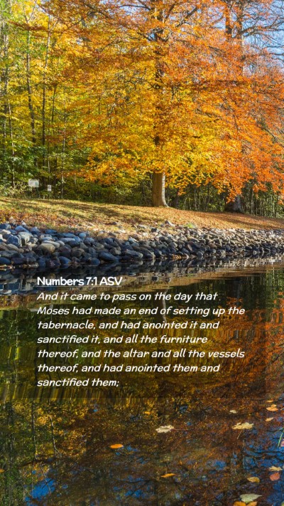 Picture 02 - Numbers 7:1 ASV Mobile Phone Wallpaper - And it came to pass on the day that Moses had - Mobile Bible Verse Wallpaper