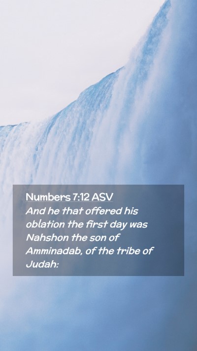 Picture 02 - Numbers 7:12 ASV Mobile Phone Wallpaper - And he that offered his oblation the first day - Mobile Bible Verse Wallpaper