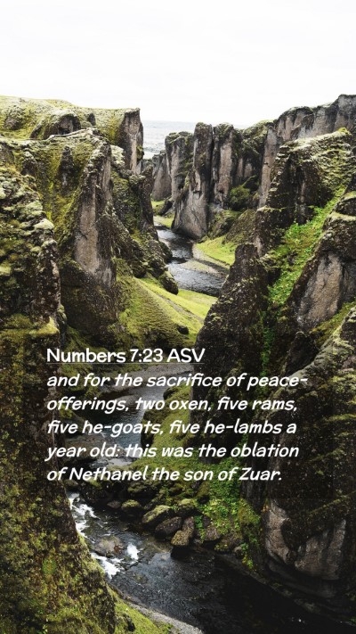 Picture 02 - Numbers 7:23 ASV Mobile Phone Wallpaper - and for the sacrifice of peace-offerings, two - Mobile Bible Verse Wallpaper