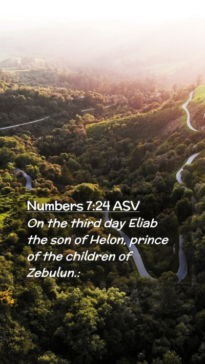 Picture 02 - Numbers 7:24 ASV Mobile Phone Wallpaper - On the third day Eliab the son of Helon, prince - Mobile Bible Verse Wallpaper