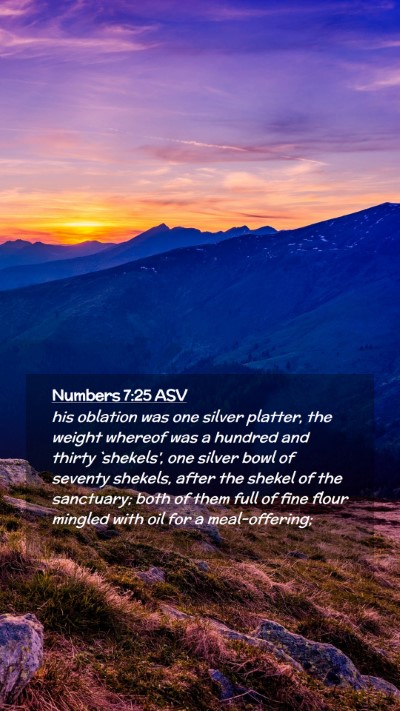 Picture 02 - Numbers 7:25 ASV Mobile Phone Wallpaper - his oblation was one silver platter, the weight - Mobile Bible Verse Wallpaper