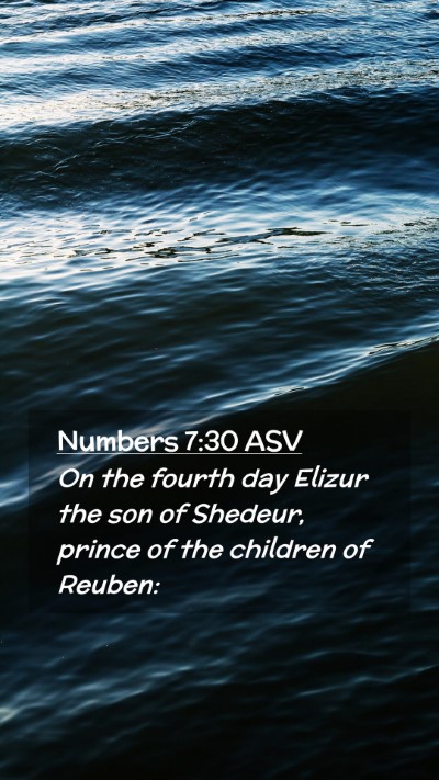 Picture 02 - Numbers 7:30 ASV Mobile Phone Wallpaper - On the fourth day Elizur the son of Shedeur, - Mobile Bible Verse Wallpaper