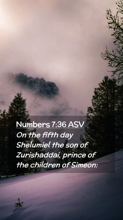 Picture 02 - Numbers 7:36 ASV Mobile Phone Wallpaper - On the fifth day Shelumiel the son of - Mobile Bible Verse Wallpaper