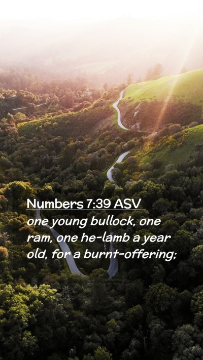 Picture 02 - Numbers 7:39 ASV Mobile Phone Wallpaper - one young bullock, one ram, one he-lamb a year - Mobile Bible Verse Wallpaper