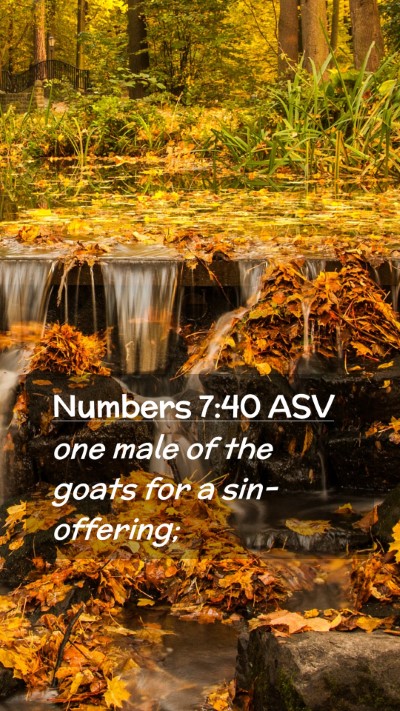 Picture 02 - Numbers 7:40 ASV Mobile Phone Wallpaper - one male of the goats for a - Mobile Bible Verse Wallpaper