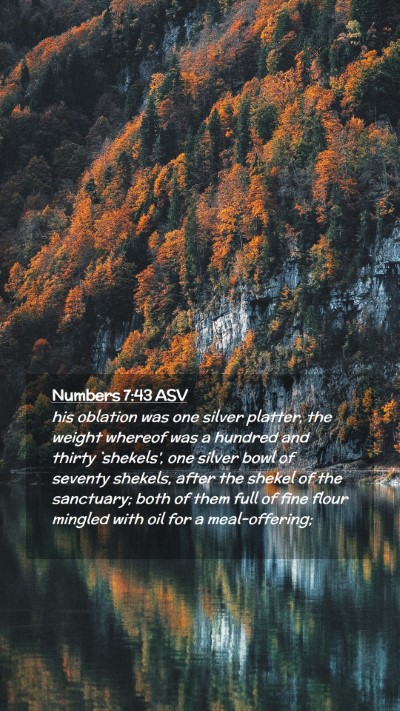Picture 02 - Numbers 7:43 ASV Mobile Phone Wallpaper - his oblation was one silver platter, the weight - Mobile Bible Verse Wallpaper