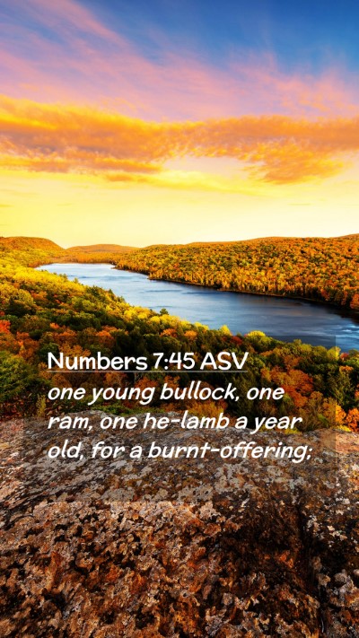 Picture 02 - Numbers 7:45 ASV Mobile Phone Wallpaper - one young bullock, one ram, one he-lamb a year - Mobile Bible Verse Wallpaper