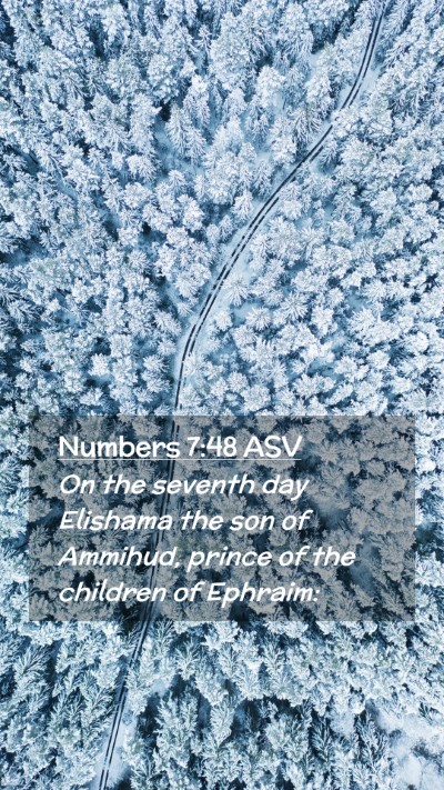 Picture 02 - Numbers 7:48 ASV Mobile Phone Wallpaper - On the seventh day Elishama the son of Ammihud, - Mobile Bible Verse Wallpaper