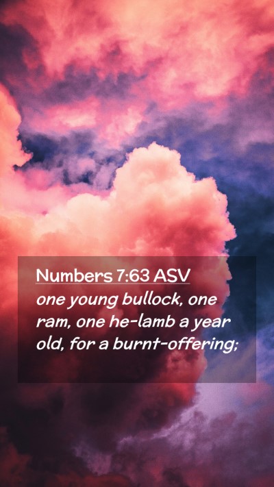 Picture 02 - Numbers 7:63 ASV Mobile Phone Wallpaper - one young bullock, one ram, one he-lamb a year - Mobile Bible Verse Wallpaper