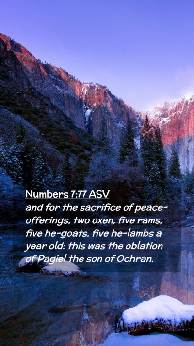 Picture 02 - Numbers 7:77 ASV Mobile Phone Wallpaper - and for the sacrifice of peace-offerings, two - Mobile Bible Verse Wallpaper