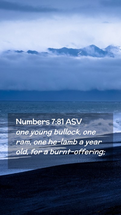 Picture 02 - Numbers 7:81 ASV Mobile Phone Wallpaper - one young bullock, one ram, one he-lamb a year - Mobile Bible Verse Wallpaper