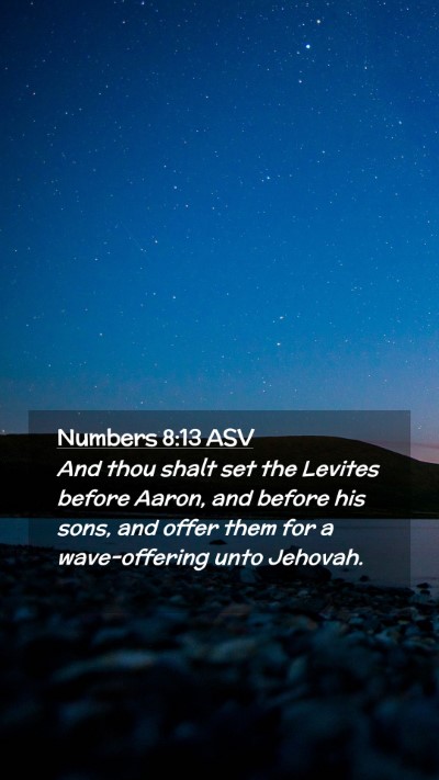Picture 02 - Numbers 8:13 ASV Mobile Phone Wallpaper - And thou shalt set the Levites before Aaron, and - Mobile Bible Verse Wallpaper