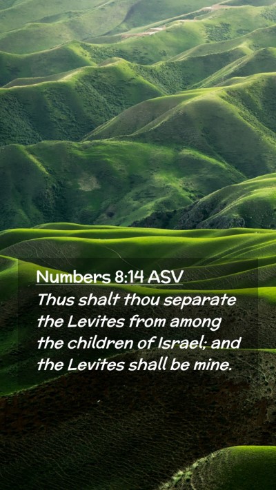 Picture 02 - Numbers 8:14 ASV Mobile Phone Wallpaper - Thus shalt thou separate the Levites from among - Mobile Bible Verse Wallpaper