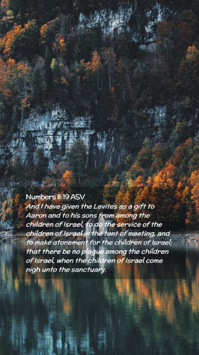 Picture 02 - Numbers 8:19 ASV Mobile Phone Wallpaper - And I have given the Levites as a gift to Aaron - Mobile Bible Verse Wallpaper