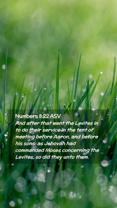 Picture 02 - Numbers 8:22 ASV Mobile Phone Wallpaper - And after that went the Levites in to do their - Mobile Bible Verse Wallpaper