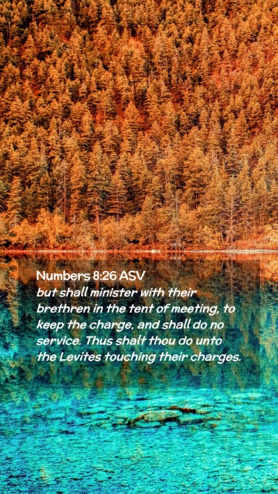Picture 02 - Numbers 8:26 ASV Mobile Phone Wallpaper - but shall minister with their brethren in the - Mobile Bible Verse Wallpaper