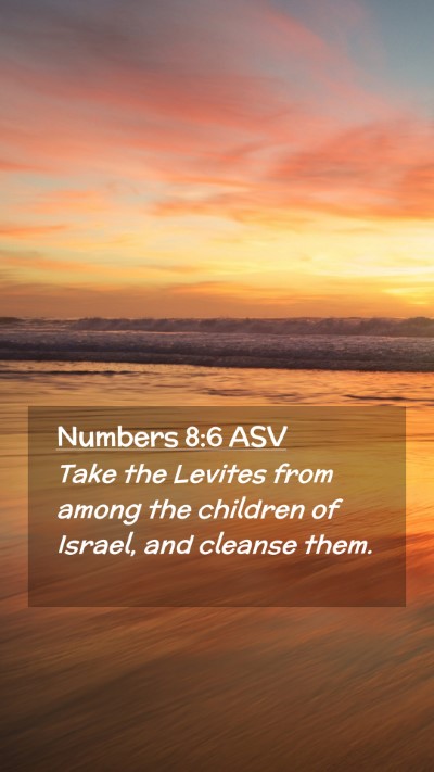 Picture 02 - Numbers 8:6 ASV Mobile Phone Wallpaper - Take the Levites from among the children of - Mobile Bible Verse Wallpaper