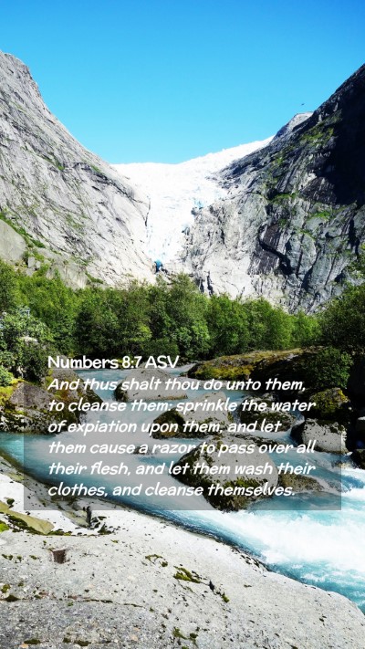 Picture 02 - Numbers 8:7 ASV Mobile Phone Wallpaper - And thus shalt thou do unto them, to cleanse - Mobile Bible Verse Wallpaper
