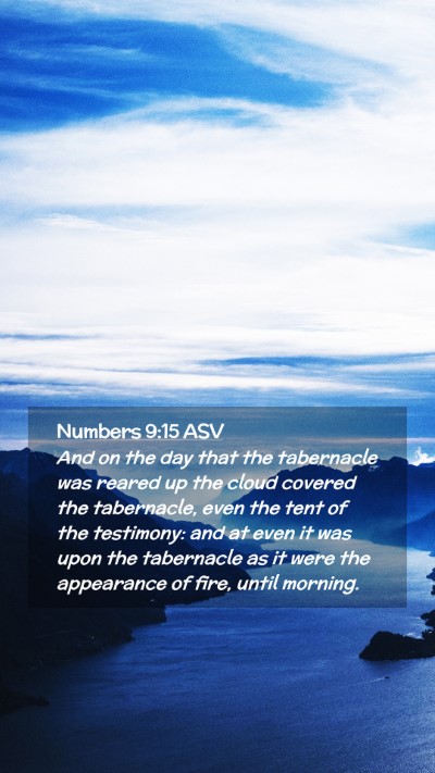 Picture 02 - Numbers 9:15 ASV Mobile Phone Wallpaper - And on the day that the tabernacle was reared up - Mobile Bible Verse Wallpaper