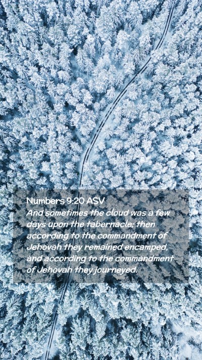 Picture 02 - Numbers 9:20 ASV Mobile Phone Wallpaper - And sometimes the cloud was a few days upon the - Mobile Bible Verse Wallpaper