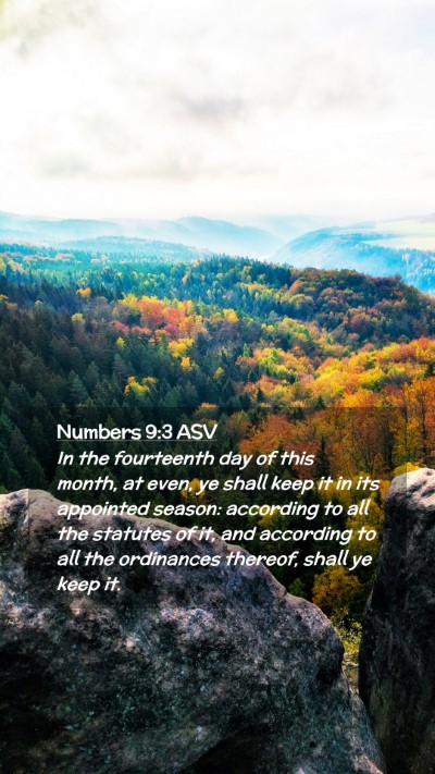 Picture 02 - Numbers 9:3 ASV Mobile Phone Wallpaper - In the fourteenth day of this month, at even, ye - Mobile Bible Verse Wallpaper
