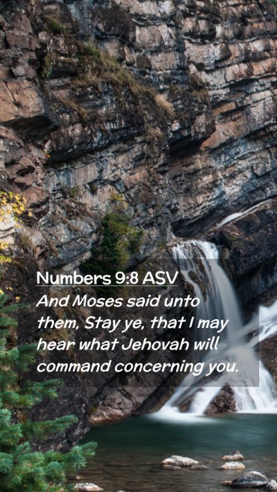 Picture 02 - Numbers 9:8 ASV Mobile Phone Wallpaper - And Moses said unto them, Stay ye, that I may - Mobile Bible Verse Wallpaper