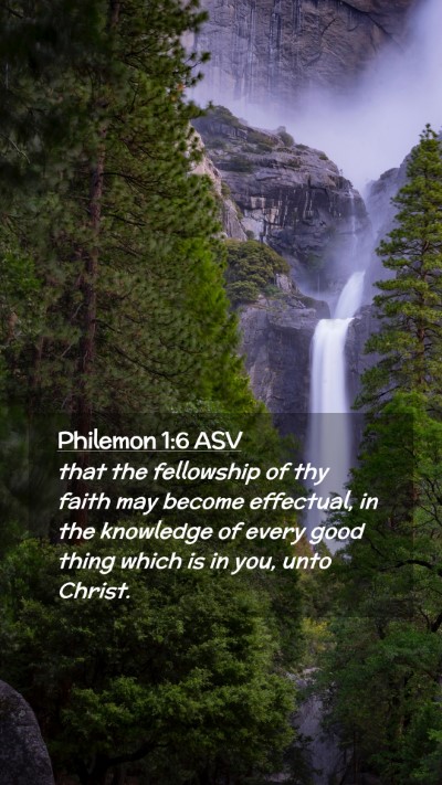 Picture 02 - Philemon 1:6 ASV Mobile Phone Wallpaper - that the fellowship of thy faith may become - Mobile Bible Verse Wallpaper